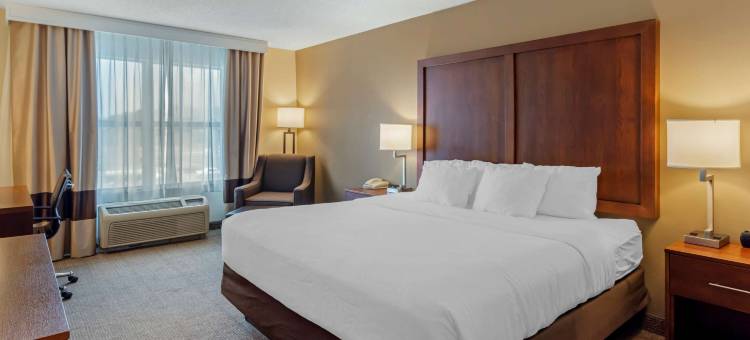 舒适套房酒店(Comfort Inn & Suites)图片