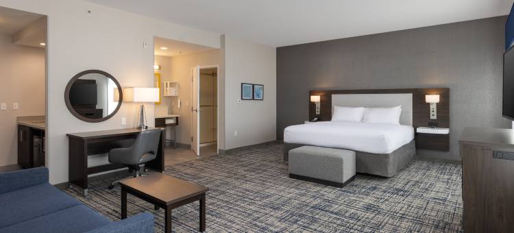 曼特卡欢朋套房酒店(Hampton Inn & Suites Manteca)图片
