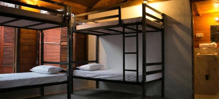 仙境旅馆(Wonderland Hostel)图片