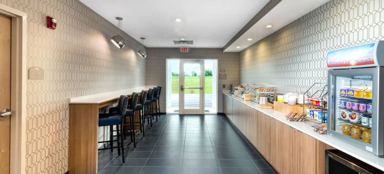 Microtel Inn & Suites by Wyndham Farmington图片