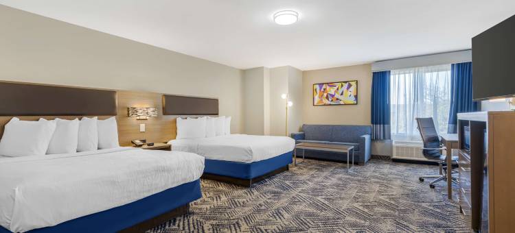 路易斯维尔科佩尔贝斯特韦斯特优质酒店(Best Western Plus Lewisville Flower Mound)图片