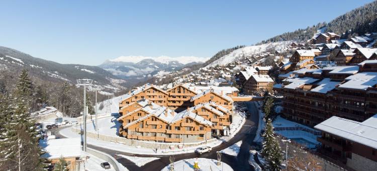 乐赫瓦纳皮耶雷与假日精品住宅(Résidence Pierre & Vacances Premium l'Hévana)图片