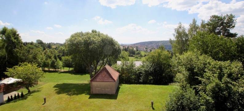 露伊瑟沃德酒店(Waldhotel Luise)图片