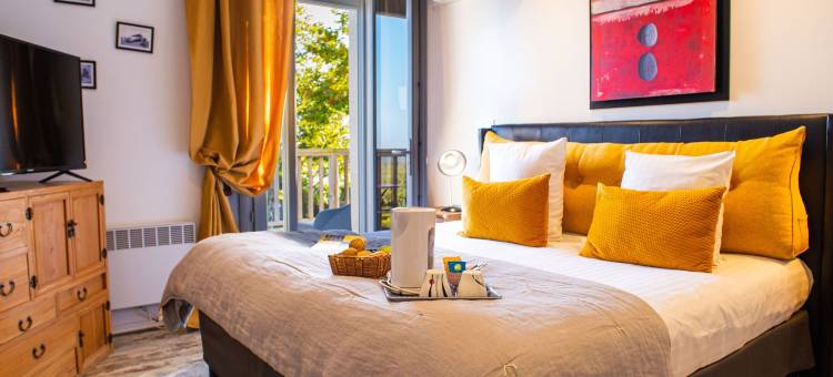 莱斯塔拉斯萨莫尔温泉酒店(Les Terrasses de Saumur - Hôtel & Appartements - Restaurant & Spa (Logis))图片