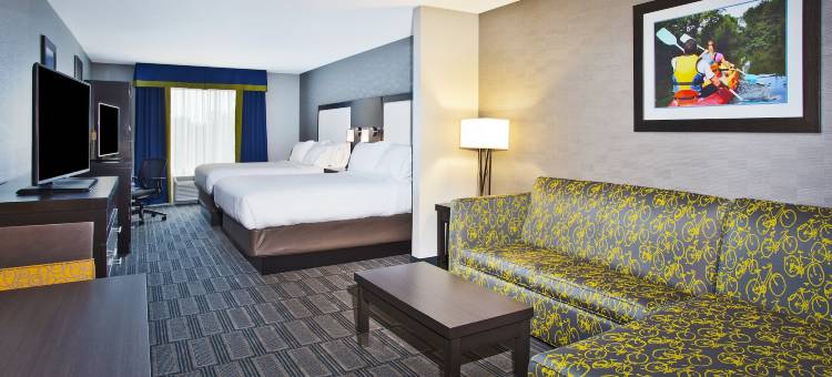 安阿伯西智选假日套房酒店(Holiday Inn Express & Suites Ann Arbor West)图片