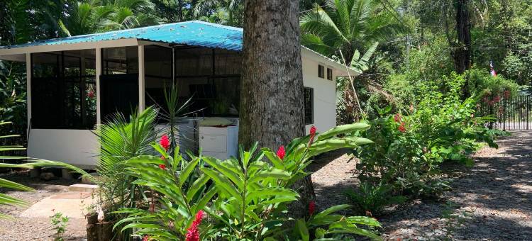 库尼塔乌瓦海滩公寓(Beachfront Apartment Punta Uva)图片