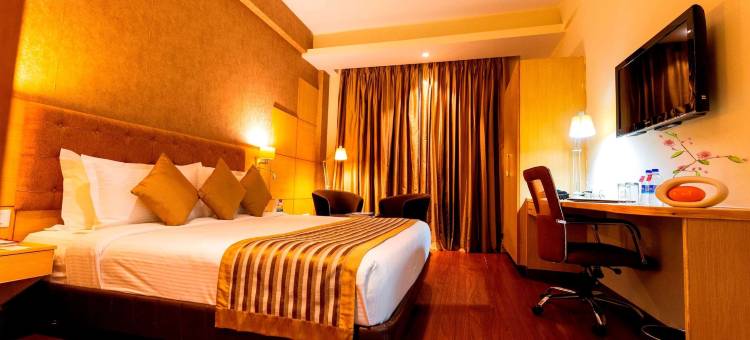温德姆华美达尼姆拉纳酒店(Ramada by Wyndham Neemrana)图片