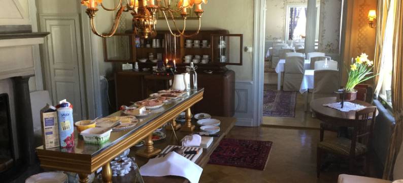 海勒福什庄园酒店(Hellefors Herrgård)图片