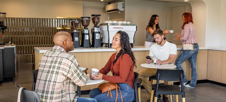 麻雀旅馆(The Sparrow)图片