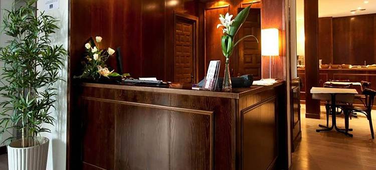 托莱多帝国饭店(Sercotel Toledo Imperial)图片