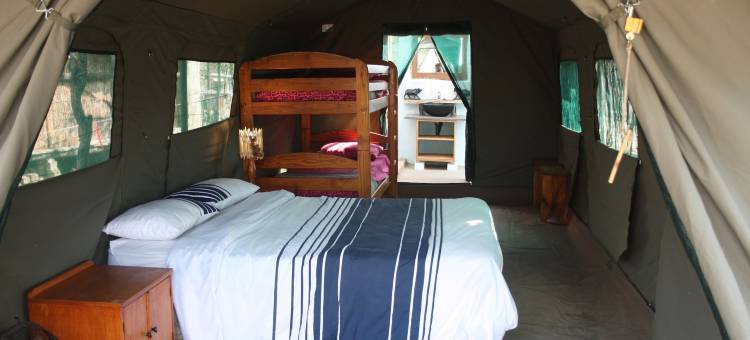 疣猪野生动物园营地旅馆(Warthogs Safari Camp)图片