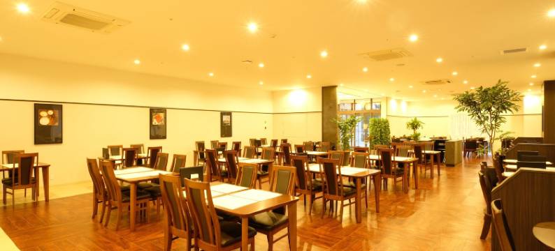 临空高级酒店(The Premium Hotel in Rinku)图片