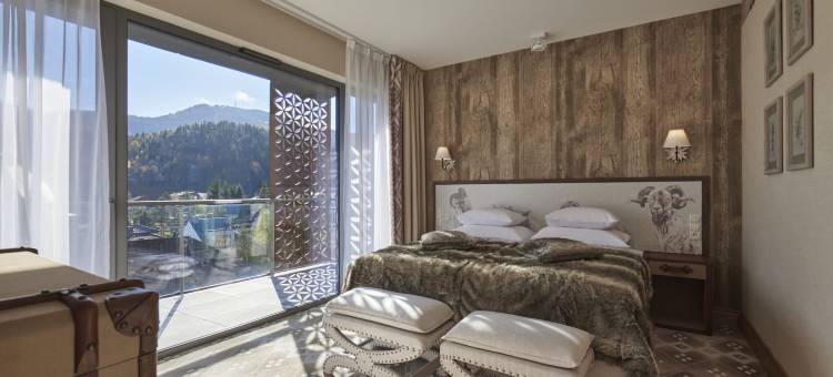 牡羊座酒店及SPA中心-史奇兹科(Aries Hotel & Spa Szczyrk)图片