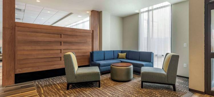 匹兹堡北岸舒适套房酒店(Comfort Inn & Suites Pittsburgh-Northshore)图片