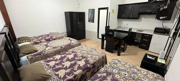 加西亚斯套房酒店(Hotel Garcias Suites)图片