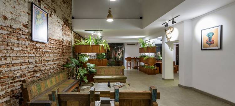 费恩科伦坡住宿加早餐旅馆(Fern Colombo)图片