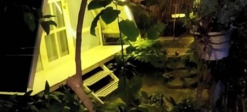 雪化洪波平房酒店(Tuyet Hoa Hon Bo Bungalow)图片