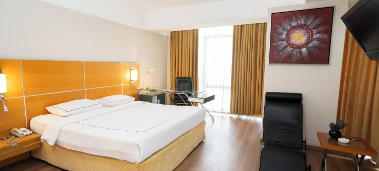 代尼兹利阿奈蒙酒店(Anemon Grand Denizli Otel)图片