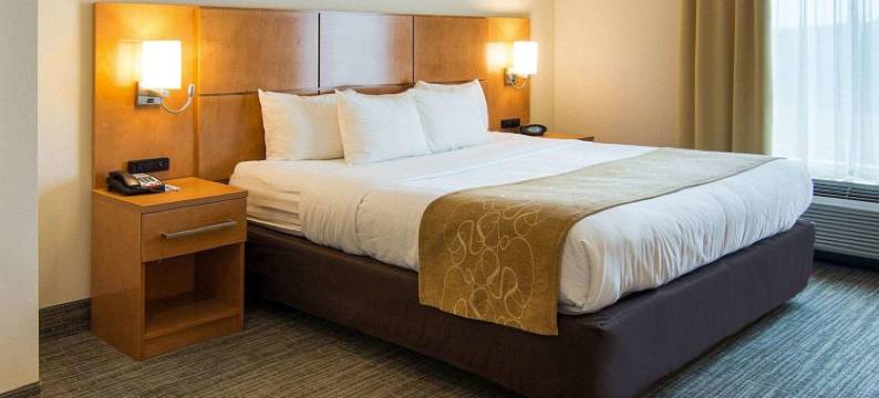 舒适套房酒店-伯锡尔城申里夫波特东(Comfort Suites Bossier City - Shreveport East)图片
