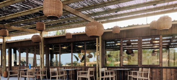 TAIGA阿尔梅里亚海滩(Taiga Almeria Playa)图片