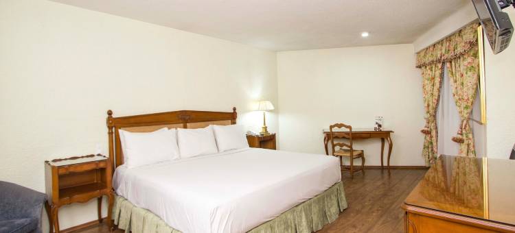 墨西哥城谷托雷奥酒店(Hotel Valle de Mexico Toreo)图片