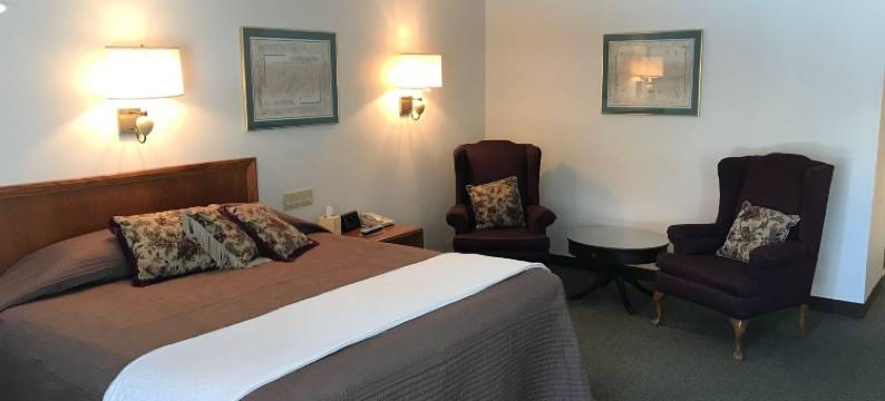 T 鸟汽车旅馆(T-Bird Motor Inn)图片