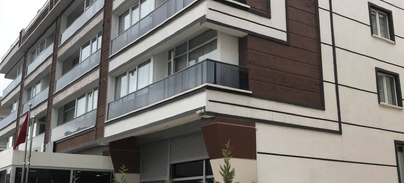 大西洋安卡拉酒店(Ankara Atlantik Otel)图片
