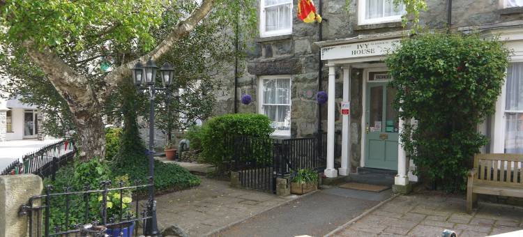 常春藤旅馆(Ivy House B&B)图片