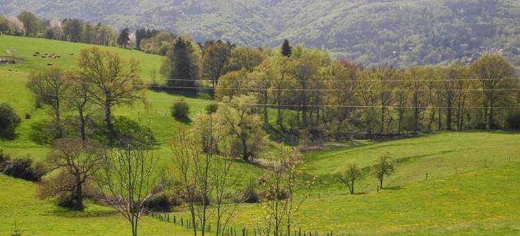 丹斯高原旅馆(Le Plateau de la Danse)图片