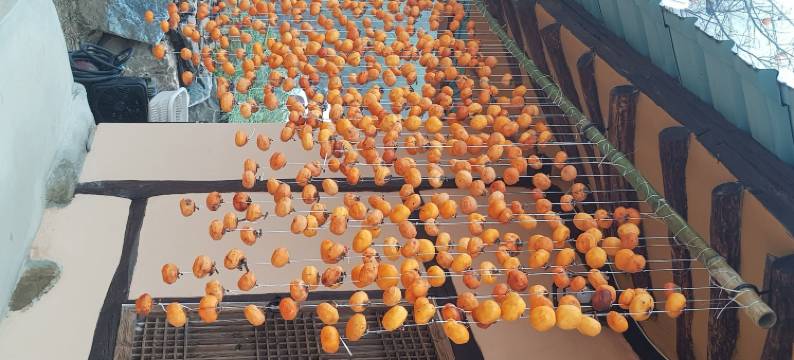 月光之家酒店(Moonlight House)图片