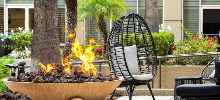 圣迭戈迷踪谷希尔顿逸林酒店(DoubleTree by Hilton San Diego-Mission Valley)图片