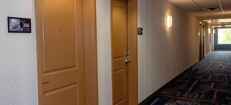 里弗顿欢朋套房酒店(Hampton Inn & Suites Riverton)图片