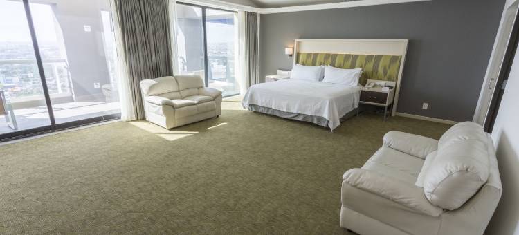 Holiday Inn 奎雷塔罗ZONA迪亚曼泰(Holiday Inn Queretaro Zona Diamante)图片