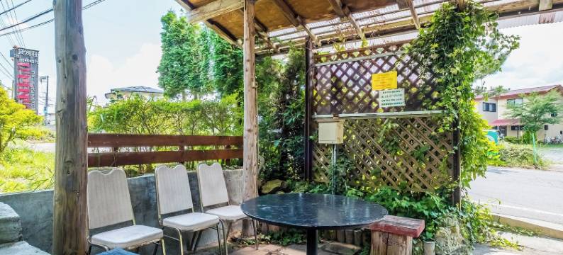 鲁比纳斯河口湖(Lupinus Kawaguchiko)图片