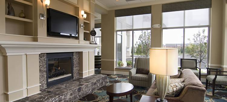 底特律诺维希尔顿花园客栈(HIlton Garden Inn Detroit/Novi)图片