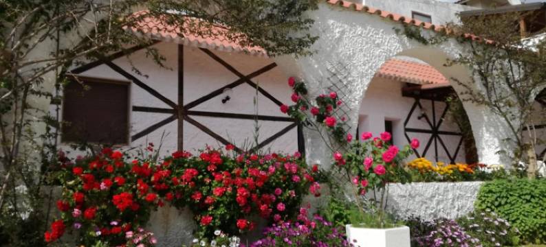 拱门乡村别墅民宿(Gli Archi Country Home)图片