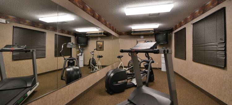 南达科他米歇尔凯利套房酒店(Kelly Inn and Suites Mitchell)图片