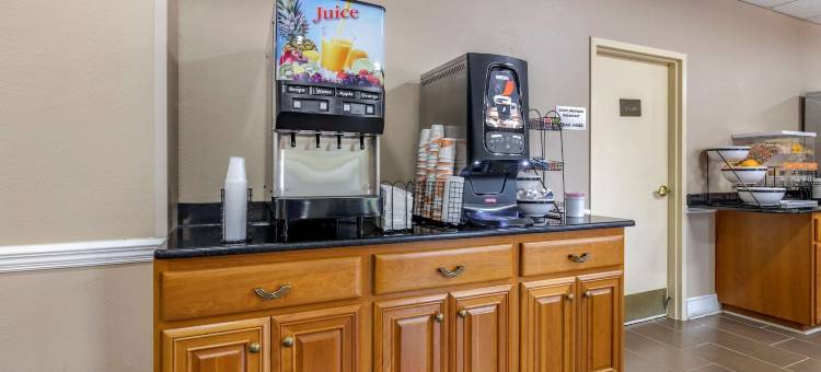 斯泰茨伯勒大学区舒适套房酒店(Comfort Inn & Suites Statesboro - University Area)图片