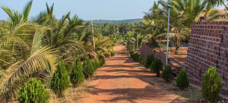 海滨别墅(Beachfront Villas)图片