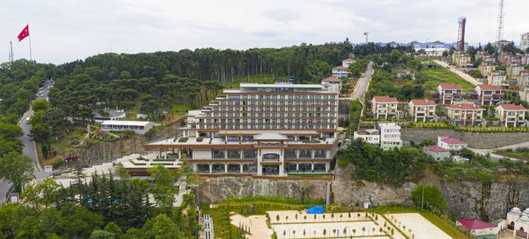特拉布宗丽笙酒店(Radisson Blu Hotel Trabzon)图片