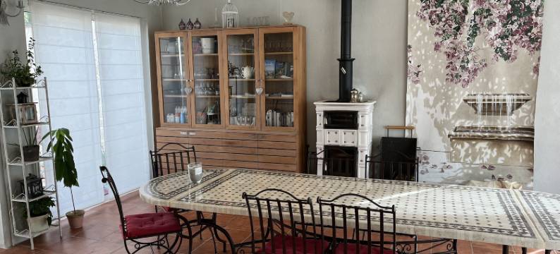 达尔亚德酒店(La Dryade)图片