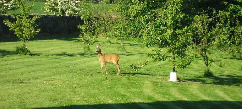 巴尔豪斯农场住宿加早餐旅馆(Balhousie Farm Bed and Breakfast)图片