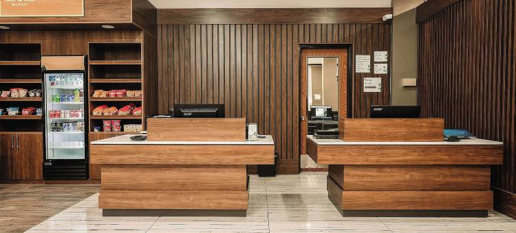 威廉斯堡布希花园区温德姆花园酒店(Wyndham Garden Williamsburg Busch Gardens Area)图片