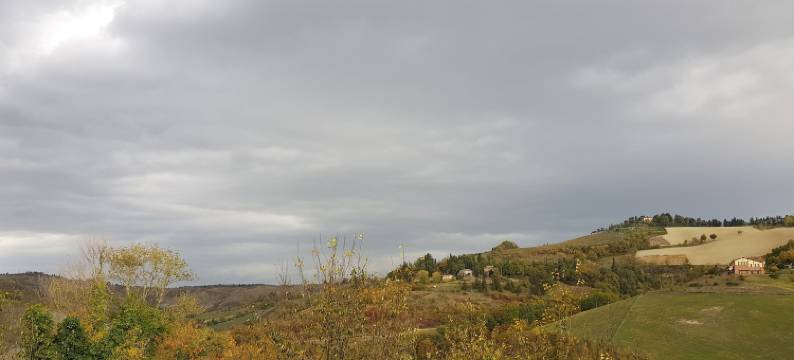 本提沃格里奥农庄酒店(Agriturismo Ben Ti Voglio)图片