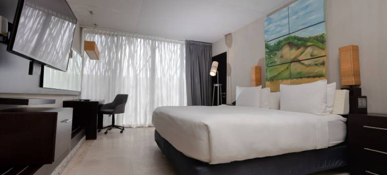韦拉克鲁斯图斯潘万怡酒店(Courtyard by Marriott Tuxpan Veracruz)图片