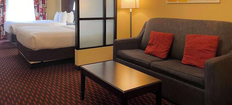 舒适套房酒店(Comfort Suites)图片