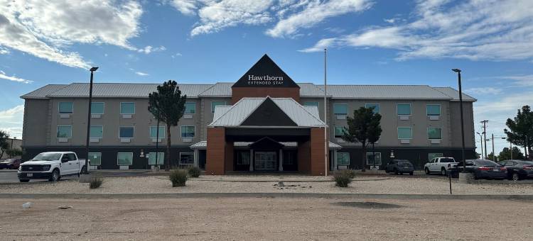 Hawthorn Extended Stay by Wyndham Hobbs图片
