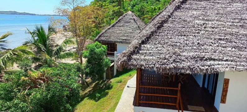 提基孔巴(Tiki Komba)图片