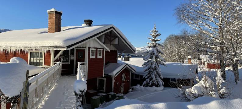 卡罗里恩阿日酒店(Hotell Karolinen Åre)图片