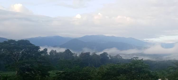 布里布里苏莱(Bribri Ù sule)图片